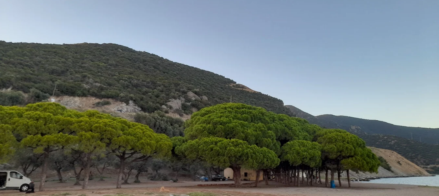 Çamlık Plaj aile