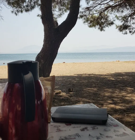 Çamlık Plaj piknik