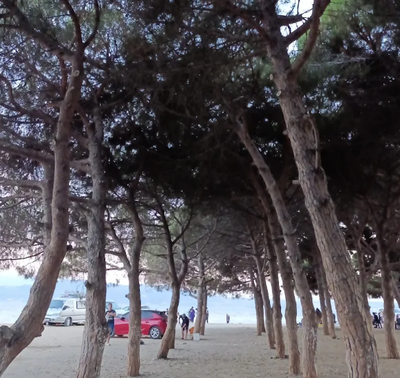 Çamlık Plaj deniz