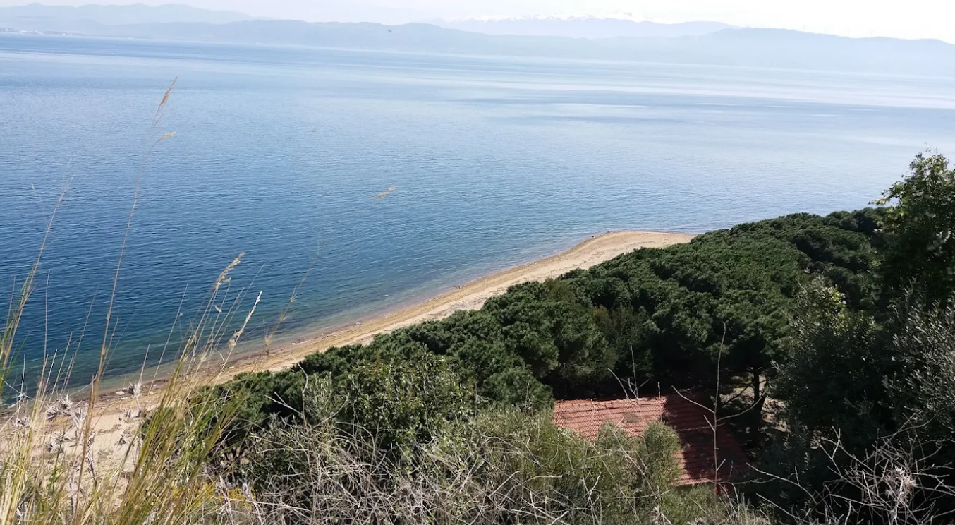 Çamlık Plaj sahil