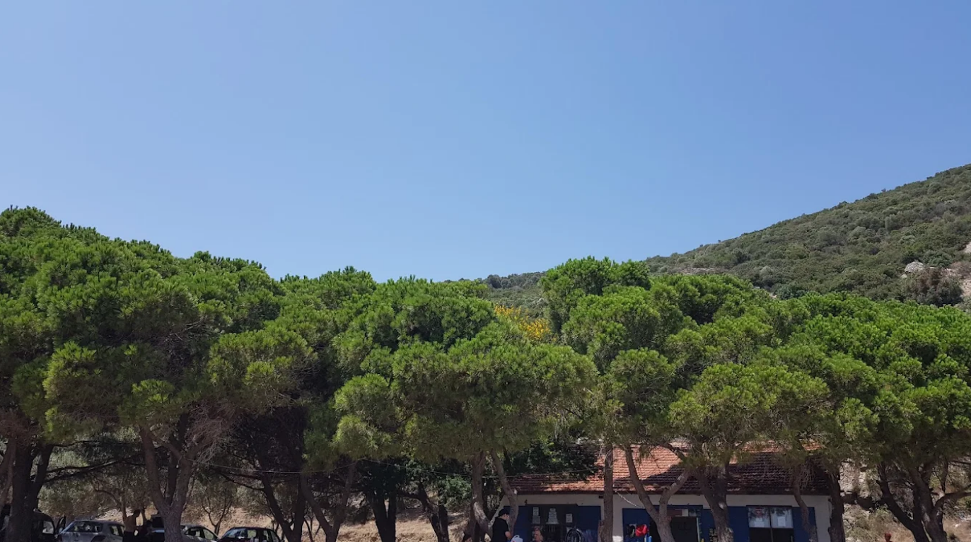 Çamlık Plaj piknik