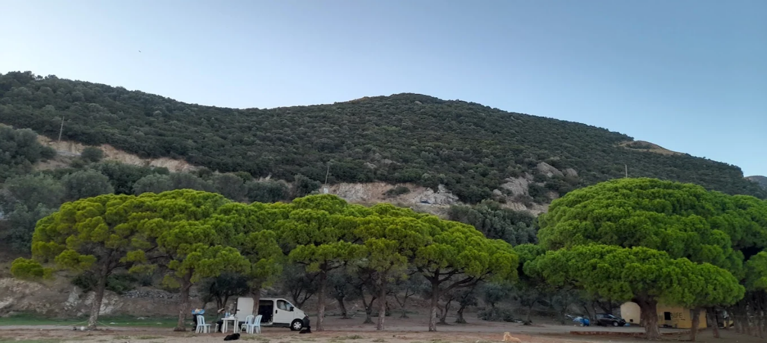 Çamlık Plaj sahil
